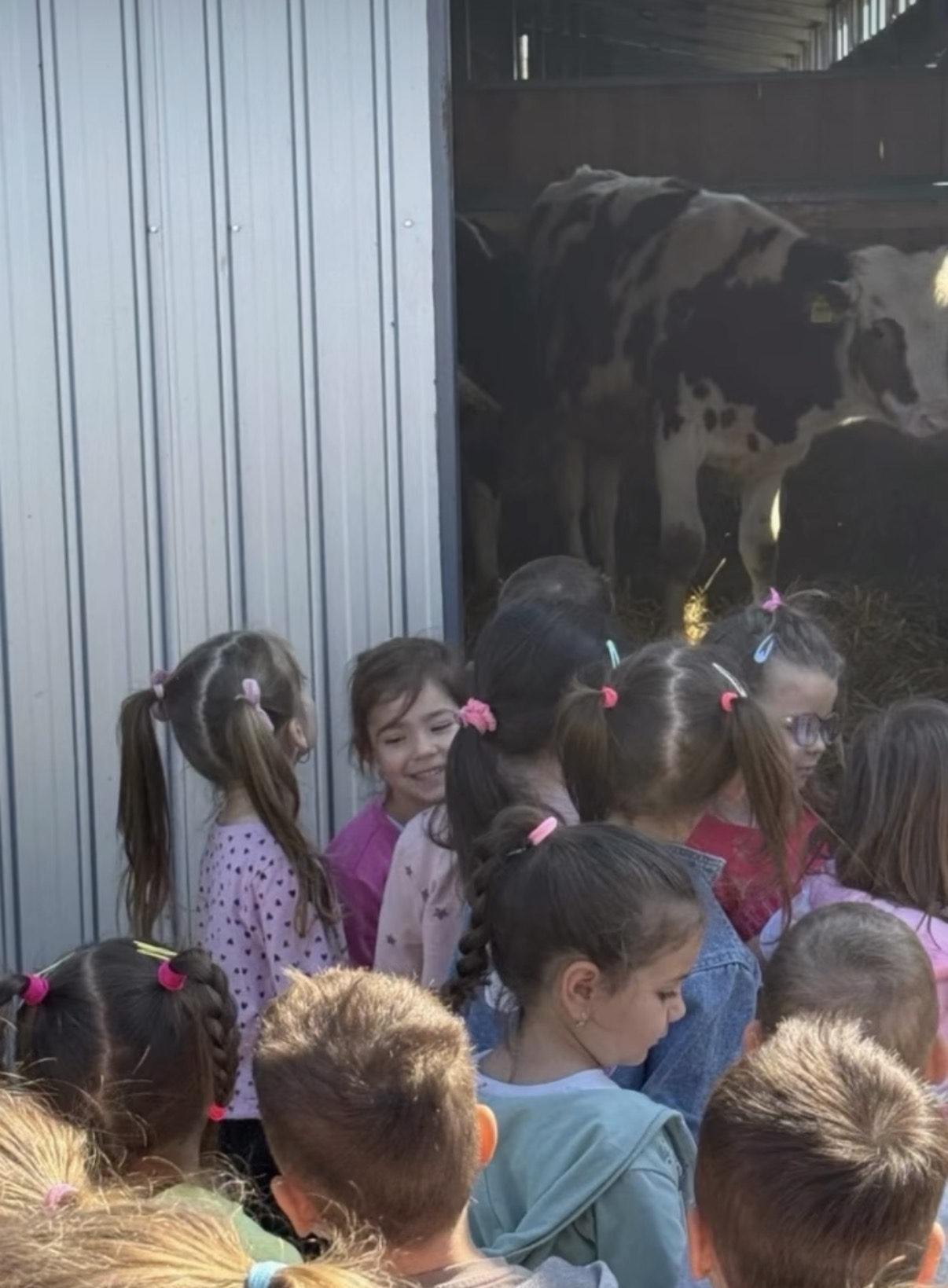 🐮 Група „Вини Пу“ у посети фарми – учење кроз истраживање и доживљај